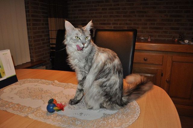 morning picdump 58 pics 8.html - 58 HD Photos | Premium Gallery 2011