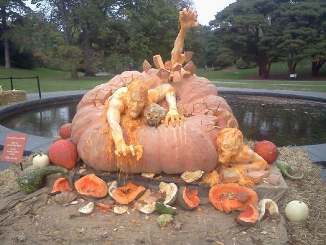 morning picdump 58 pics 8.html - 58 HD Photos | Premium Gallery 2011