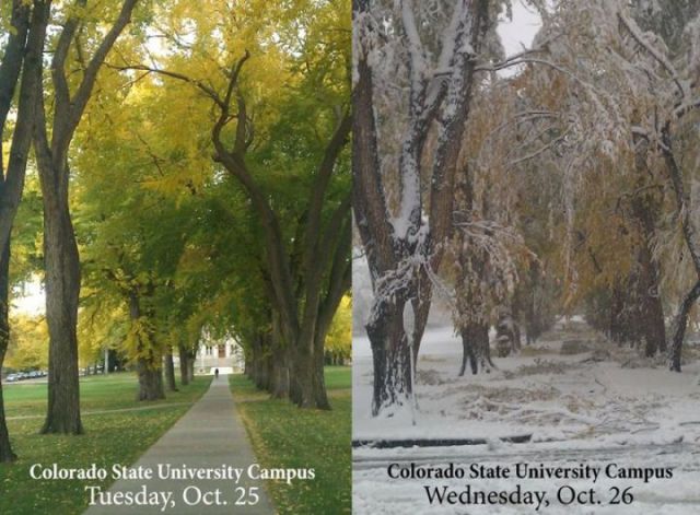 daily picdump 79 pics 26.html - 79 HD Photos | Premium Gallery 2011