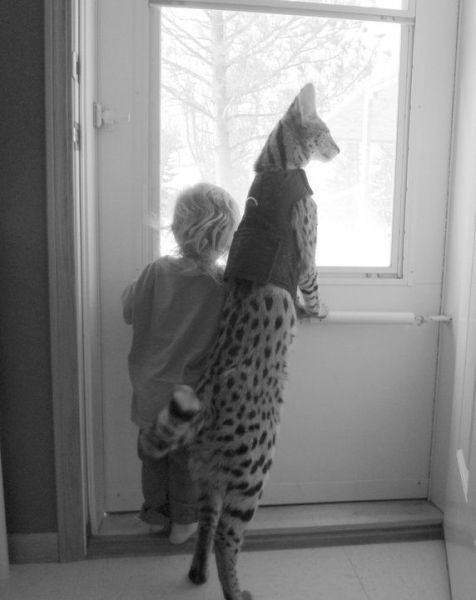 daily picdump 79 pics 26.html - 79 HD Photos | Premium Gallery 2011