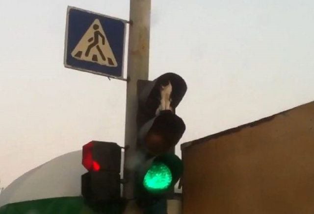 daily picdump 79 pics 26.html - 79 HD Photos | Premium Gallery 2011