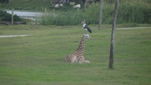 daily picdump 79 pics 26.html - 79 HD Photos | Premium Gallery 2011