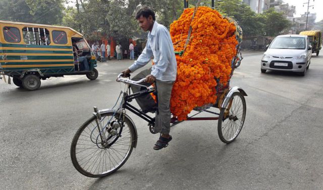 morning picdump 56 pics 13.html - 56 HD Photos | Premium Gallery 2011