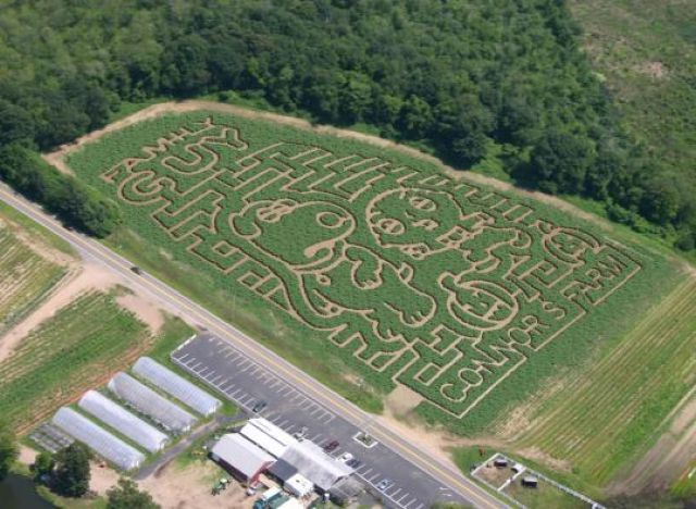 morning picdump 56 pics 13.html - 56 HD Photos | Premium Gallery 2011