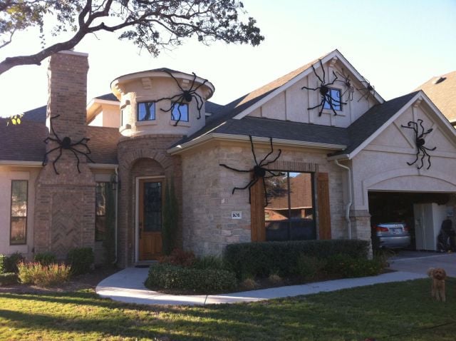 morning picdump 56 pics 13.html - 56 HD Photos | Premium Gallery 2011