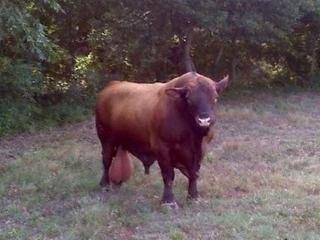 morning picdump 56 pics 13.html - 56 HD Photos | Premium Gallery 2011