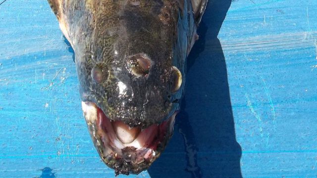 morning picdump 56 pics 13.html - 56 HD Photos | Premium Gallery 2011