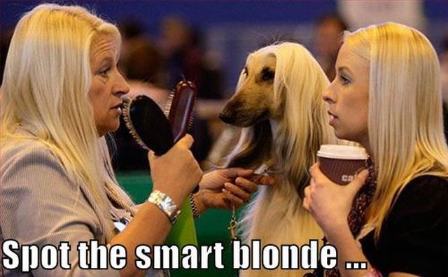 It’s Funny When Blondes Fail