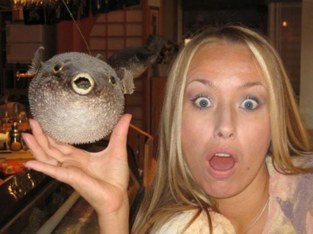 It’s Funny When Blondes Fail