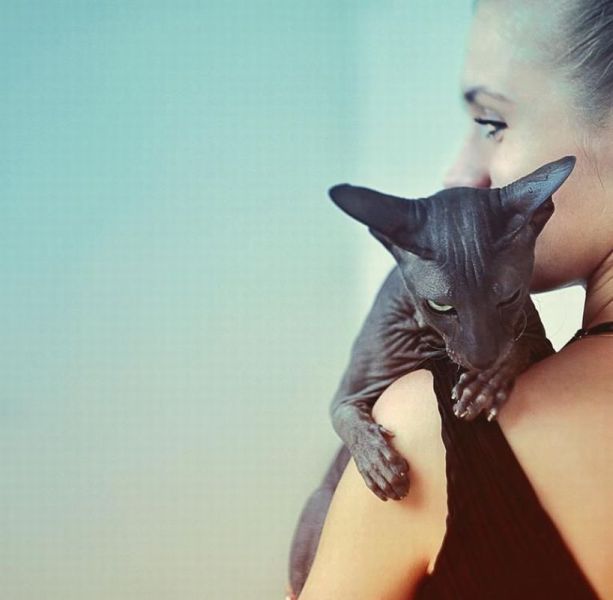 daily picdump 91 pics 45.html - 91 HD Photos | Premium Gallery 2011