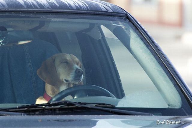 daily picdump 91 pics 45.html - 91 HD Photos | Premium Gallery 2011