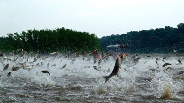 morning picdump 58 pics 1.html - 58 HD Photos | Premium Gallery 2011