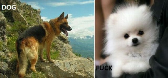 morning picdump 58 pics 1.html - 58 HD Photos | Premium Gallery 2011