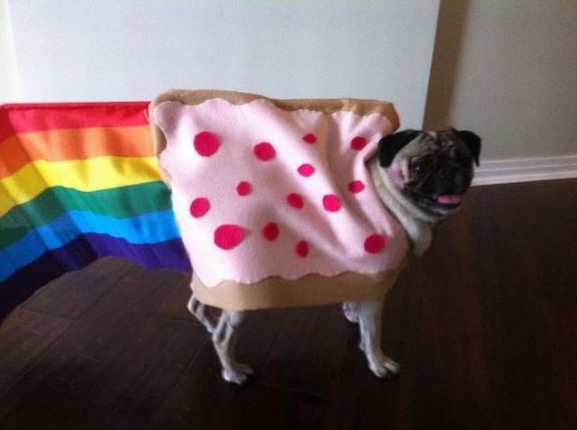 morning picdump 58 pics 1.html - 58 HD Photos | Premium Gallery 2011