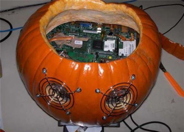 morning picdump 60 pics 12.html - 60 HD Photos | Premium Gallery 2011