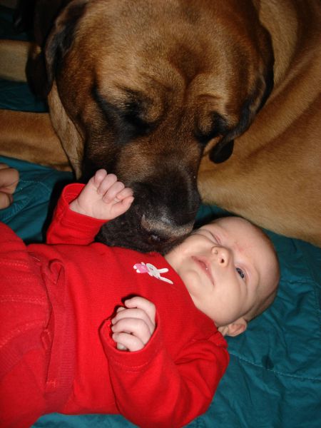 morning picdump 60 pics 12.html - 60 HD Photos | Premium Gallery 2011