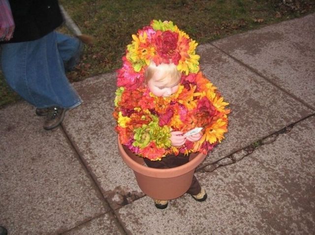 morning picdump 58 pics 21.html - 58 HD Photos | Premium Gallery 2011