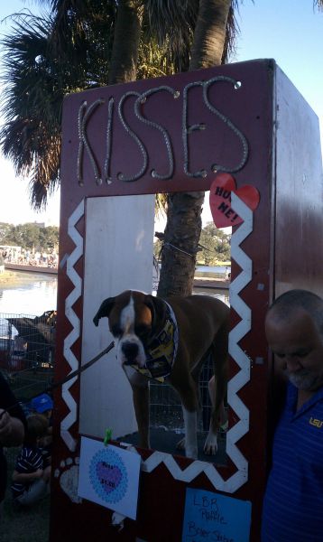 daily picdump 87 pics 39.html - 87 HD Photos | Premium Gallery 2011