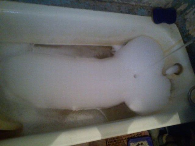 daily picdump 87 pics 39.html - 87 HD Photos | Premium Gallery 2011