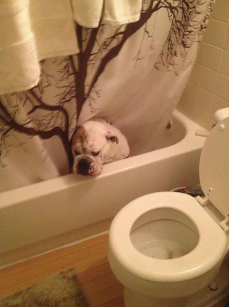 daily picdump 87 pics 39.html - 87 HD Photos | Premium Gallery 2011