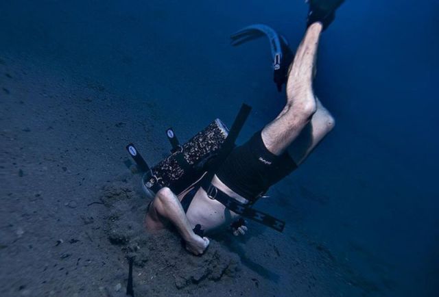 daily picdump 87 pics 39.html - 87 HD Photos | Premium Gallery 2011