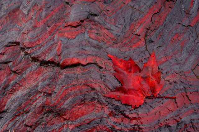 morning picdump 59 pics 28.html - 59 HD Photos | Premium Gallery 2011