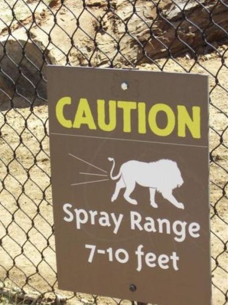 morning picdump 59 pics 28.html - 59 HD Photos | Premium Gallery 2011