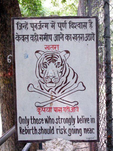 daily picdump 85 pics 15.html - 85 HD Photos | Premium Gallery 2011