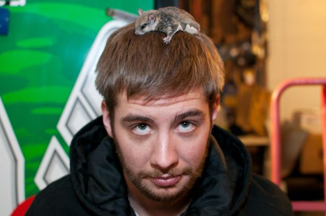 daily picdump 85 pics 15.html - 85 HD Photos | Premium Gallery 2011