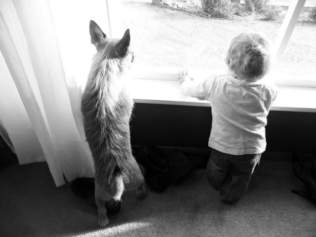 daily picdump 85 pics 15.html - 85 HD Photos | Premium Gallery 2011