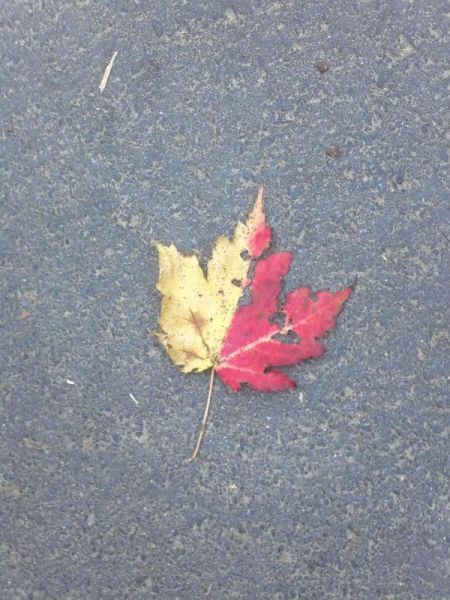 morning picdump 70 pics 14.html - 70 HD Photos | Premium Gallery 2011