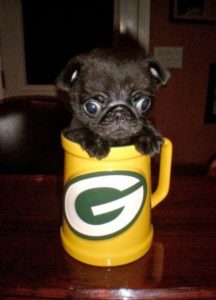 morning picdump 70 pics 14.html - 70 HD Photos | Premium Gallery 2011