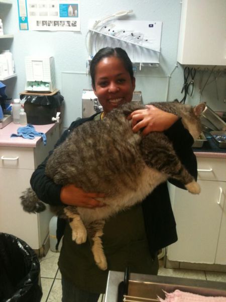 daily picdump 90 pics 31.html - 90 HD Photos | Premium Gallery 2011