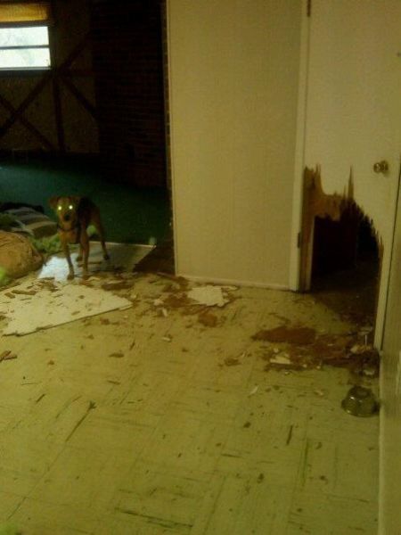 daily picdump 90 pics 31.html - 90 HD Photos | Premium Gallery 2011