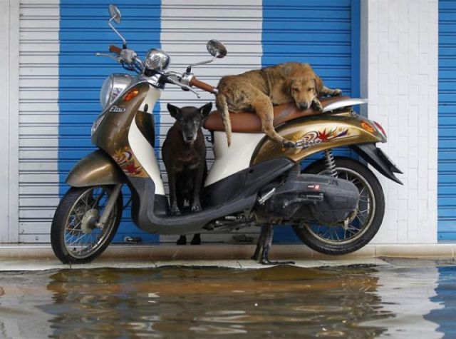 morning picdump 59 pics 14.html - 59 HD Photos | Premium Gallery 2011