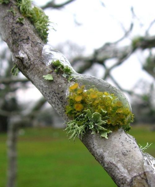 morning picdump 59 pics 14.html - 59 HD Photos | Premium Gallery 2011