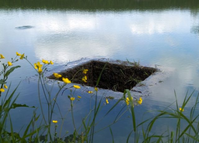 morning picdump 59 pics 14.html - 59 HD Photos | Premium Gallery 2011