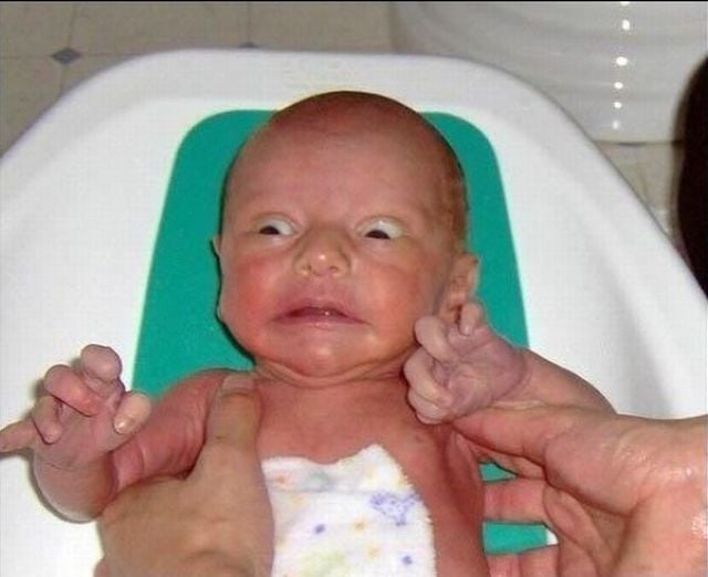 Daily Picdump