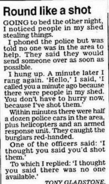 Daily Picdump