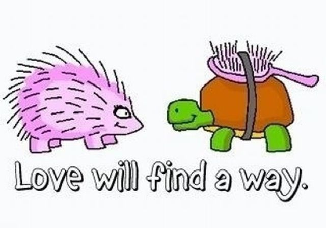 Daily Picdump