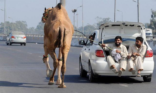 daily picdump 89 pics 39.html - 89 HD Photos | Premium Gallery 2011