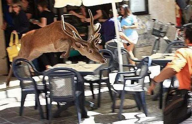 daily picdump 89 pics 39.html - 89 HD Photos | Premium Gallery 2011