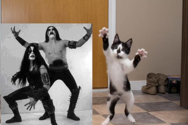 daily picdump 89 pics 39.html - 89 HD Photos | Premium Gallery 2011
