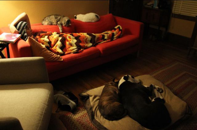 daily picdump 89 pics 39.html - 89 HD Photos | Premium Gallery 2011