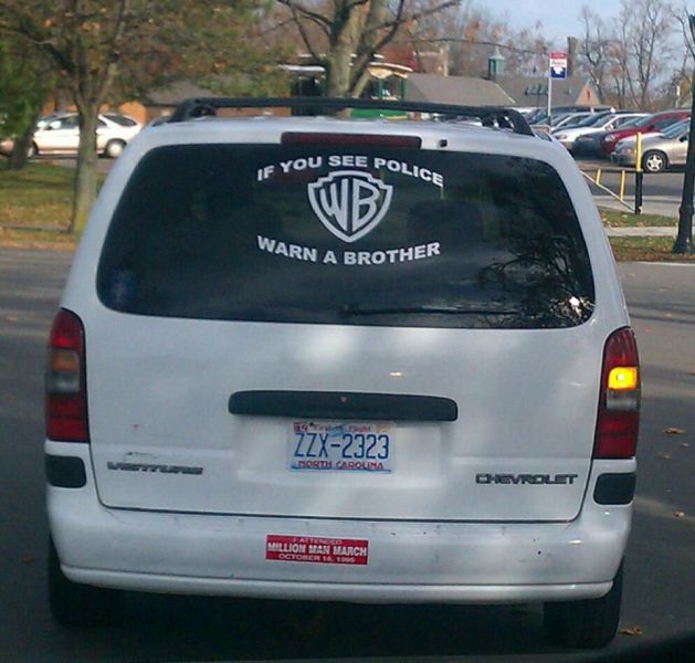 Morning Picdump
