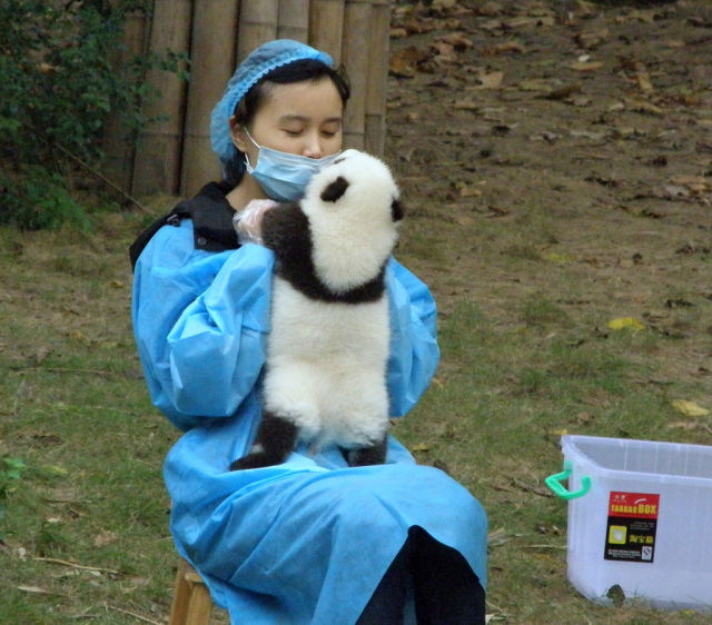 Morning Picdump