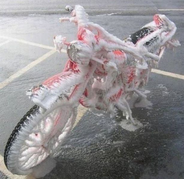 Morning Picdump