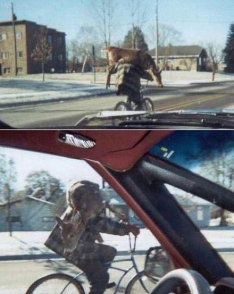 morning picdump 65 pics 3.html - 65 HD Photos | Premium Gallery 2011