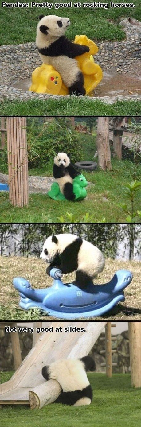 morning picdump 65 pics 3.html - 65 HD Photos | Premium Gallery 2011