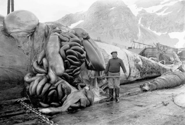 morning picdump 62 pics 4.html - 62 HD Photos | Premium Gallery 2011